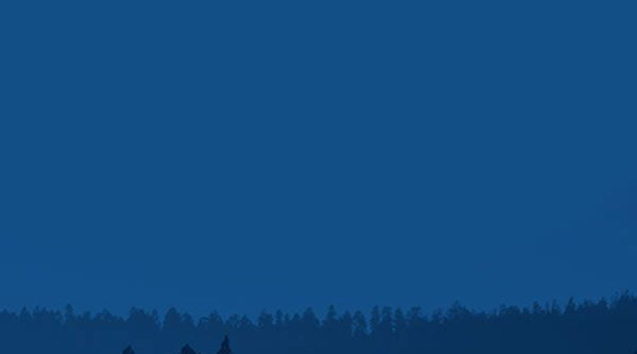 ADOPTAR EL FILL DE LA PARELLA?